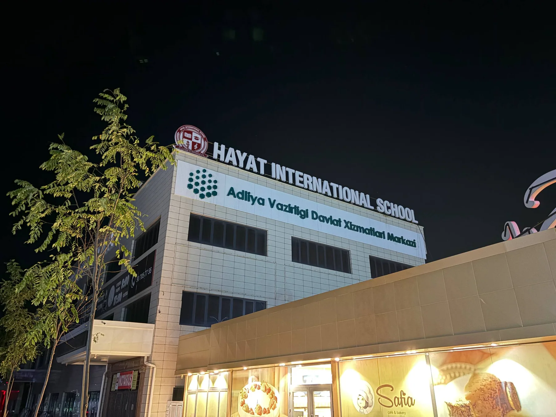 Световые буквы Hayat International School