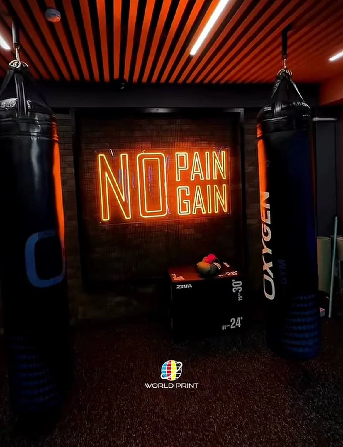 Неоновая надпись No Pain No Gain